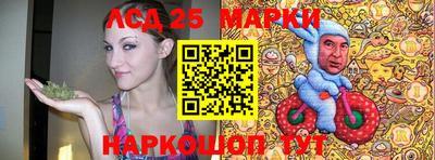 индика Краснокаменск