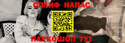 прущие грибы Краснознаменск