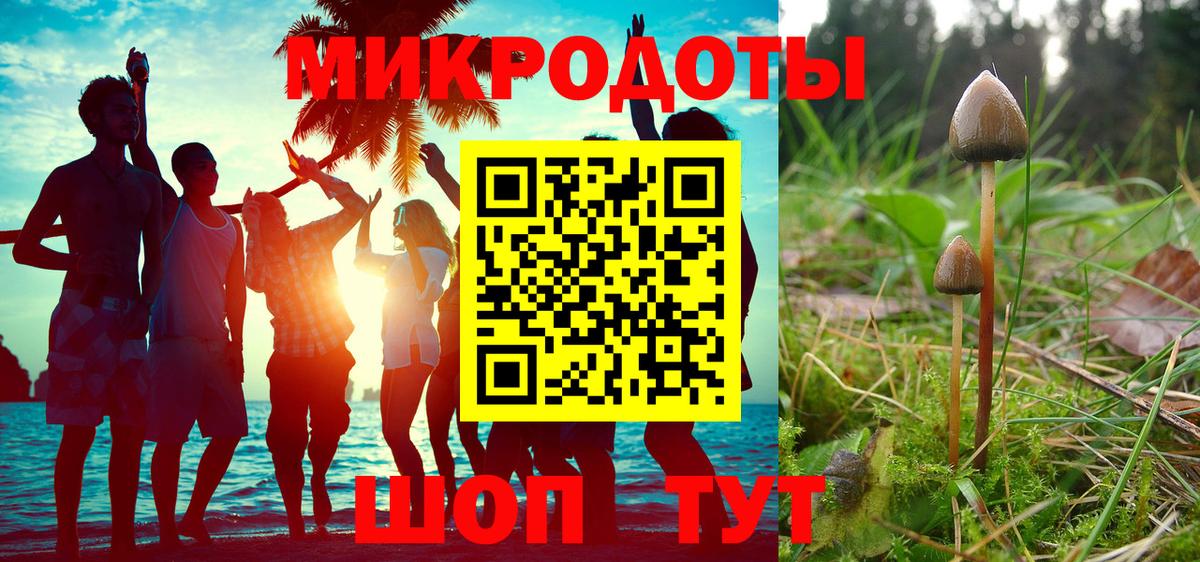 Зеленогорск  Галлюциногенные грибы Magic Shrooms  Вход с VPN  Псилоцибиновые грибы ЛСД 