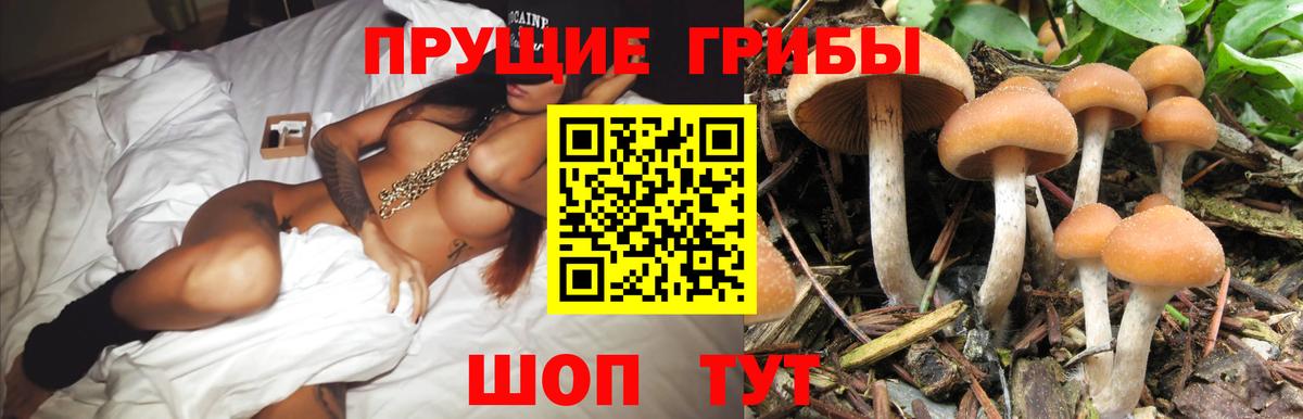 Псилоцибиновые грибы ЛСД Зеленогорск